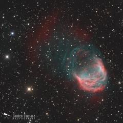 The Medusa Nebula