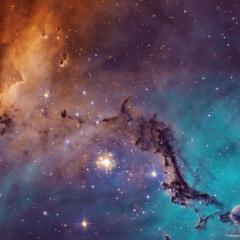 N11: Star Clouds of the LMC
