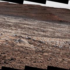 The Gator-Back Rocks of Mars