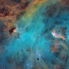 Stars and Globules in the Running Chicken Nebula