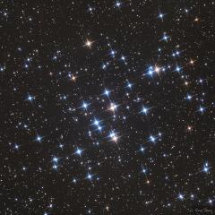 M44: The Beehive Cluster
