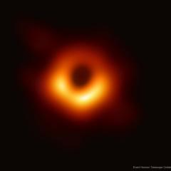 First Horizon Scale Image of a Black Hole