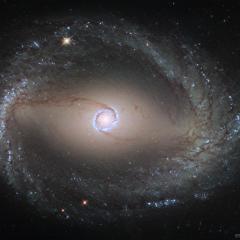 Spiral Galaxy NGC 1512: The Inner Rings