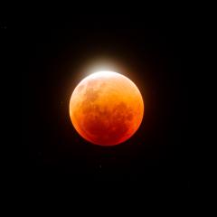 A Jewel on the Flower Moon