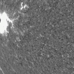 A Large Tsunami Shock Wave on the Sun