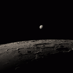 Lunar Occultation of Venus