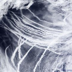 Ship Tracks over the Pacific Ocean