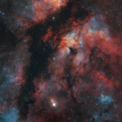 The Gamma Cygni Nebula