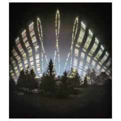 Solargraphic Analemmas