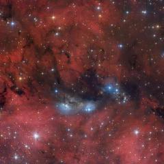 The NGC 6914 Complex