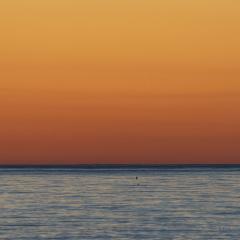 Find the New Moon
