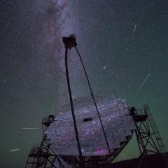 Perseids and MAGIC