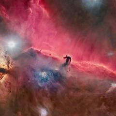 The Horsehead Nebula Region without Stars