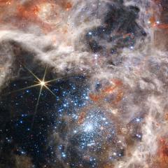 Tarantula Stars R136 from Webb