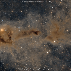 Lynds Dark Nebula 1251