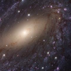 NGC 6744: Extragalactic Close Up