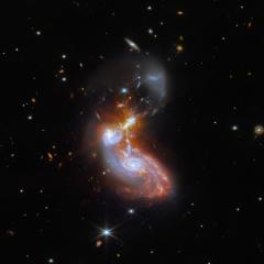Merging Galaxy Pair IIZw096
