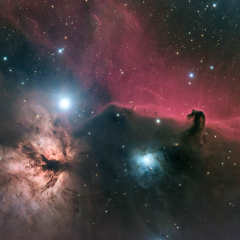 Horsehead and Flame