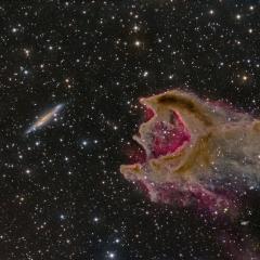 CG4: The Globule and the Galaxy