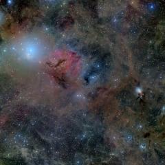 Stardust in Perseus