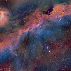 The Seagull Nebula