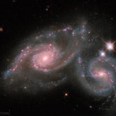 The Colliding Spiral Galaxies of Arp 274