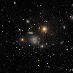 The Hydra Cluster of Galaxies