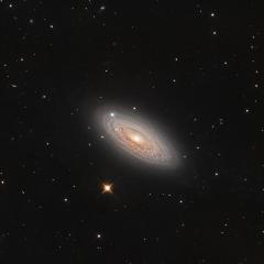 Spiral Galaxy NGC 2841