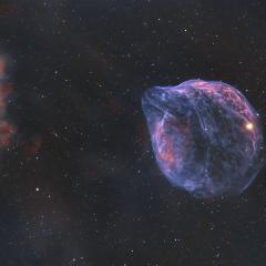 Sh2-308: A Dolphin Shaped Star Bubble