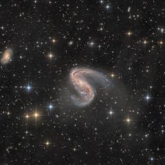 NGC 2442: Galaxy in Volans