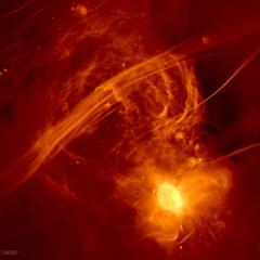 The Galactic Center Radio Arc