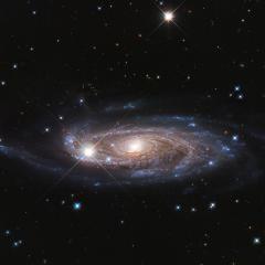Rubin’s Galaxy