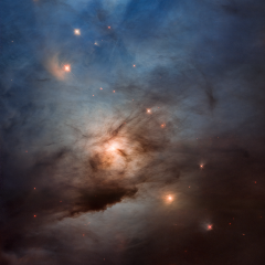 NGC 1333: Stellar Nursery in Perseus