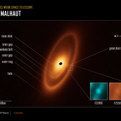Fomalhaut’s Dusty Debris Disk