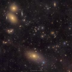 Virgo Cluster Galaxies