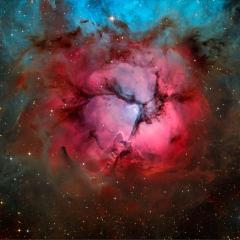In the Center of the Trifid Nebula
