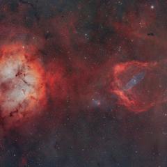 A Cosmic Zoo in Cepheus