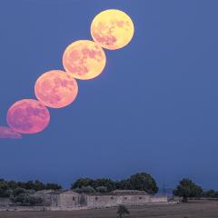 Full Moons of August