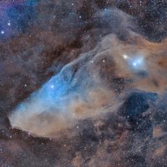 IC 4592: The Blue Horsehead Reflection Nebula
