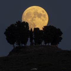 A Harvest Moon over Tuscany