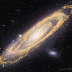 The Once and Future Stars of Andromeda