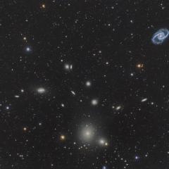 The Fornax Cluster of Galaxies