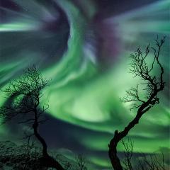 Creature Aurora Over Norway