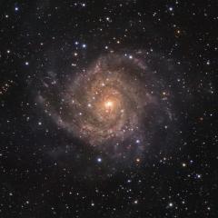 IC 342: Hidden Galaxy in Camelopardalis