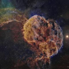 IC 443: The Jellyfish Nebula