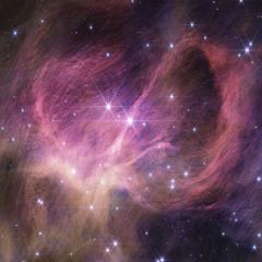 Star Cluster IC 348 from Webb