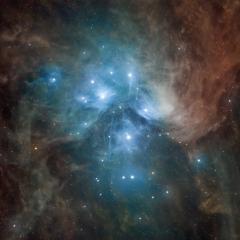 The Pleiades: Seven Dusty Sisters