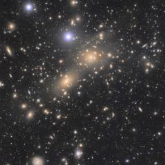 The Coma Cluster of Galaxies