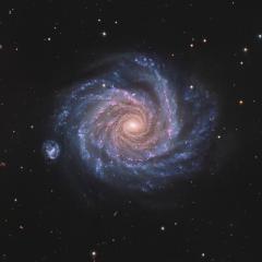 Facing NGC 1232