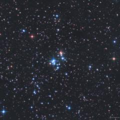 The 37 Cluster